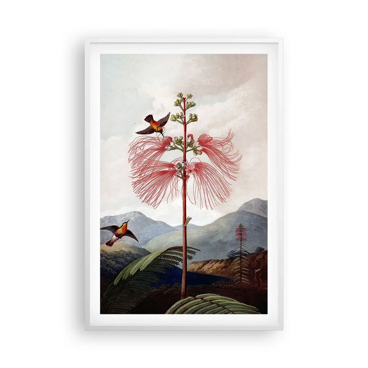 Pôster em moldura branca - Em um paraíso tropical - 61x91 cm