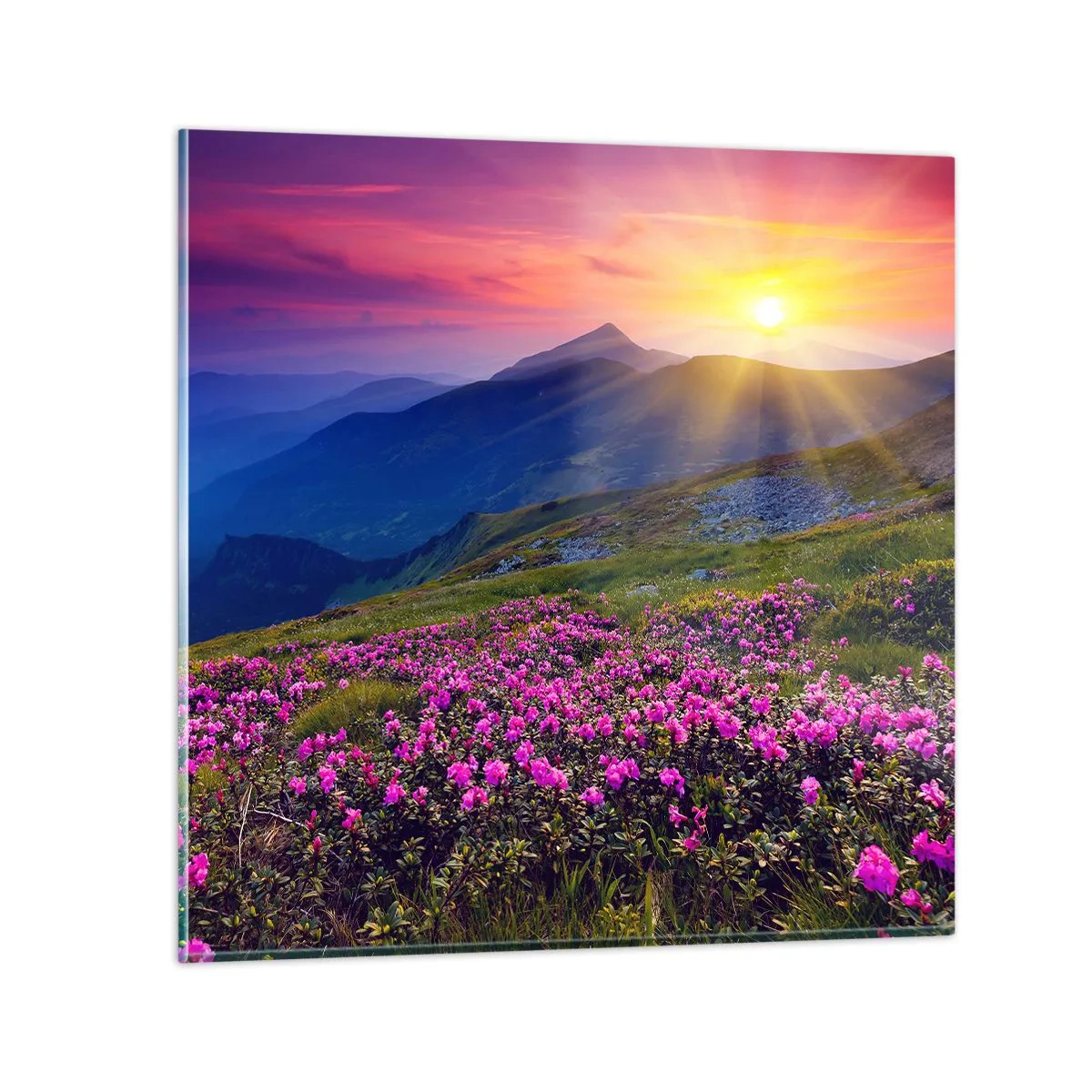 Quadro em vidro - …Cheiro de pinheiros e ervas da montanha - 50x50 cm