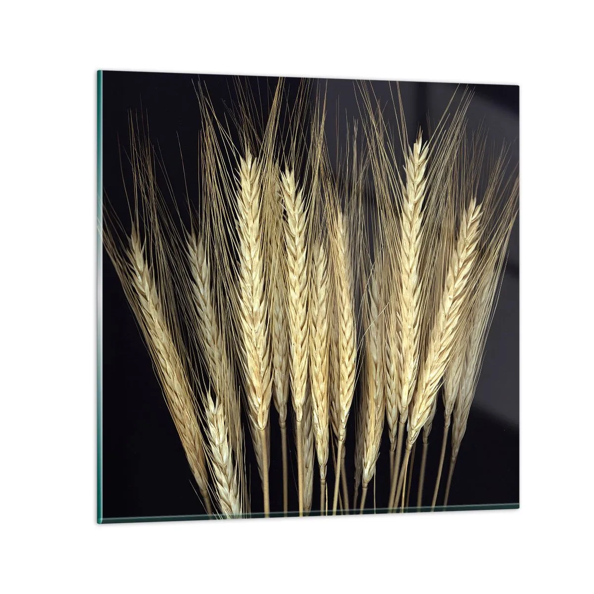 Quadro em vidro - Magia rústica - 50x50 cm