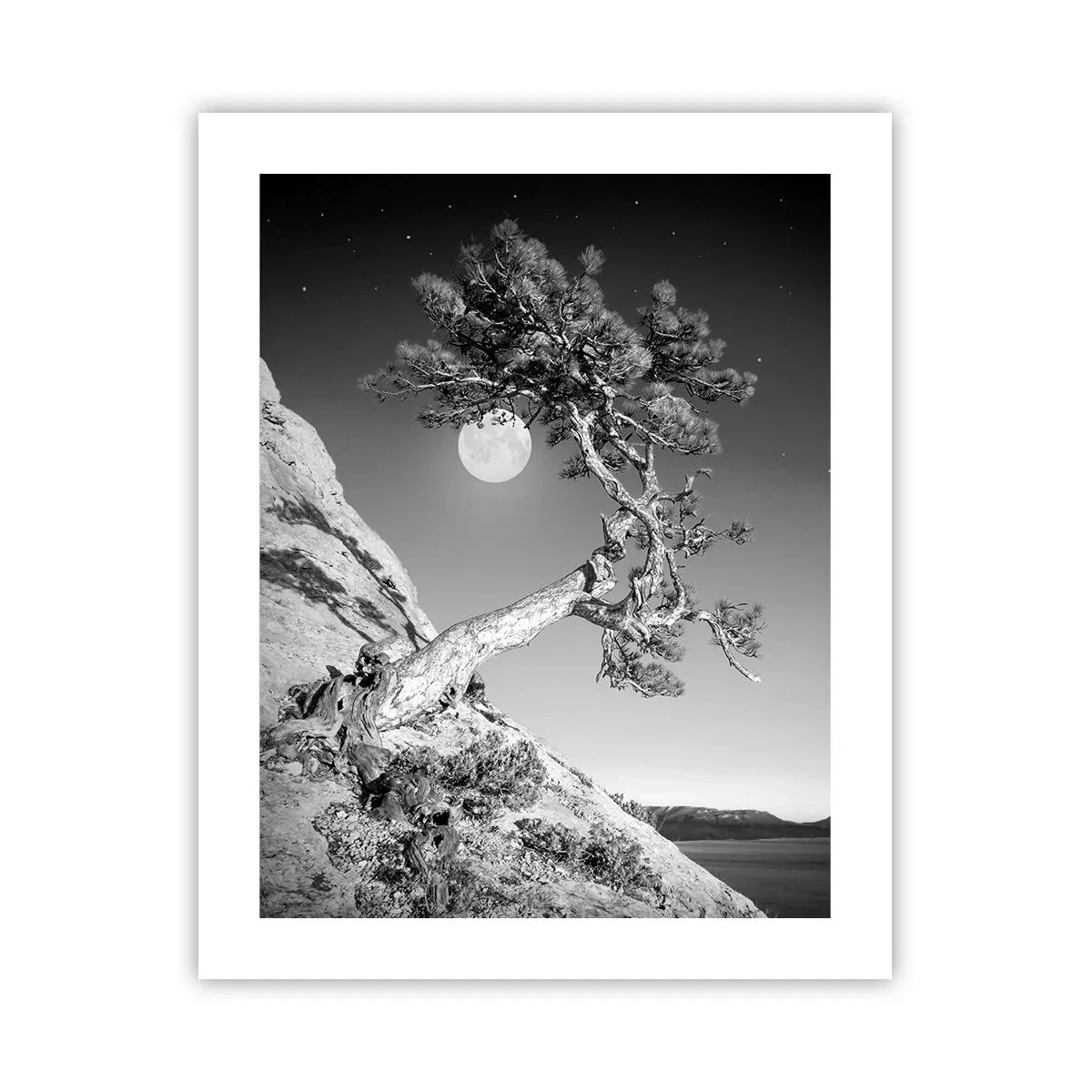 Pôster - Guerreira vitoriosa - 40x50 cm