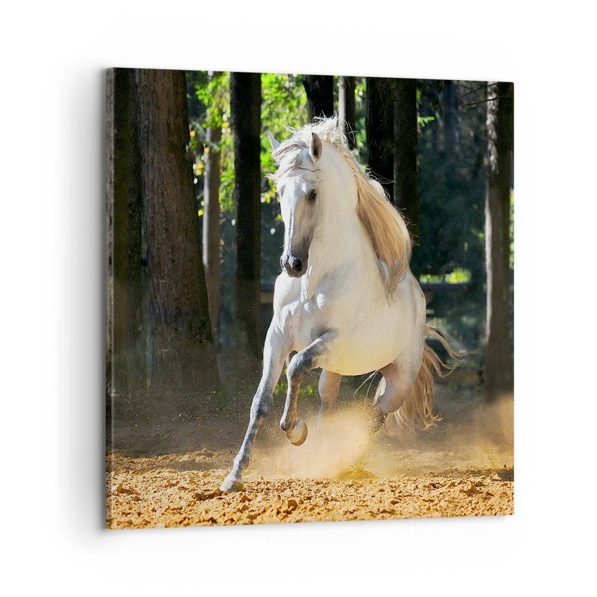 Quadro em tela - Como de um romance de fantasia - 60x60 cm