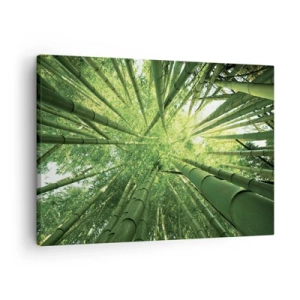 Quadro em tela - Vista através de um bosque de bambu verde - 70x50cm - Em um bosque de bambu - Decoração de parede moderna para a sala de estar e quarto ARTTOR