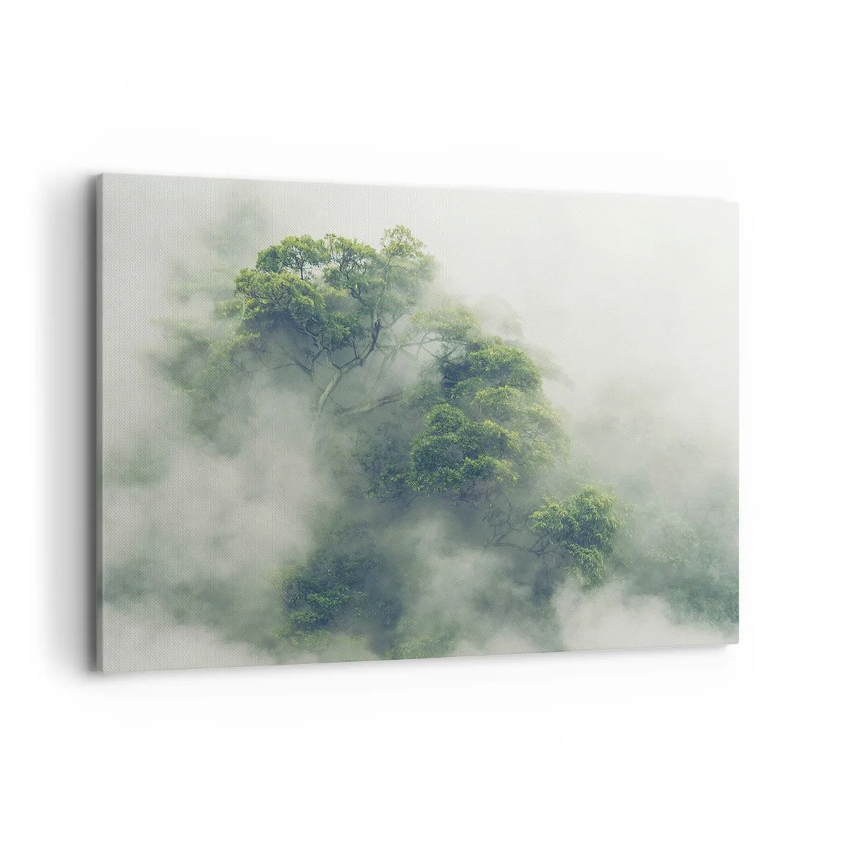 Quadro em tela - Envolto em neblina - 100x70 cm