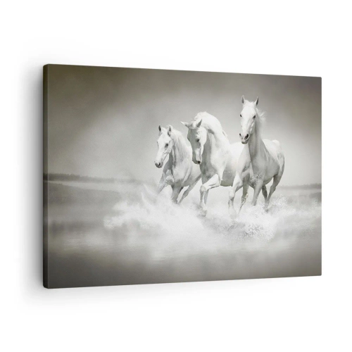 Quadro em tela - Três cavalos brancos galopando pela água - 70x50cm - Loucura branca - Decoração de parede moderna para a sala de estar e quarto ARTTOR