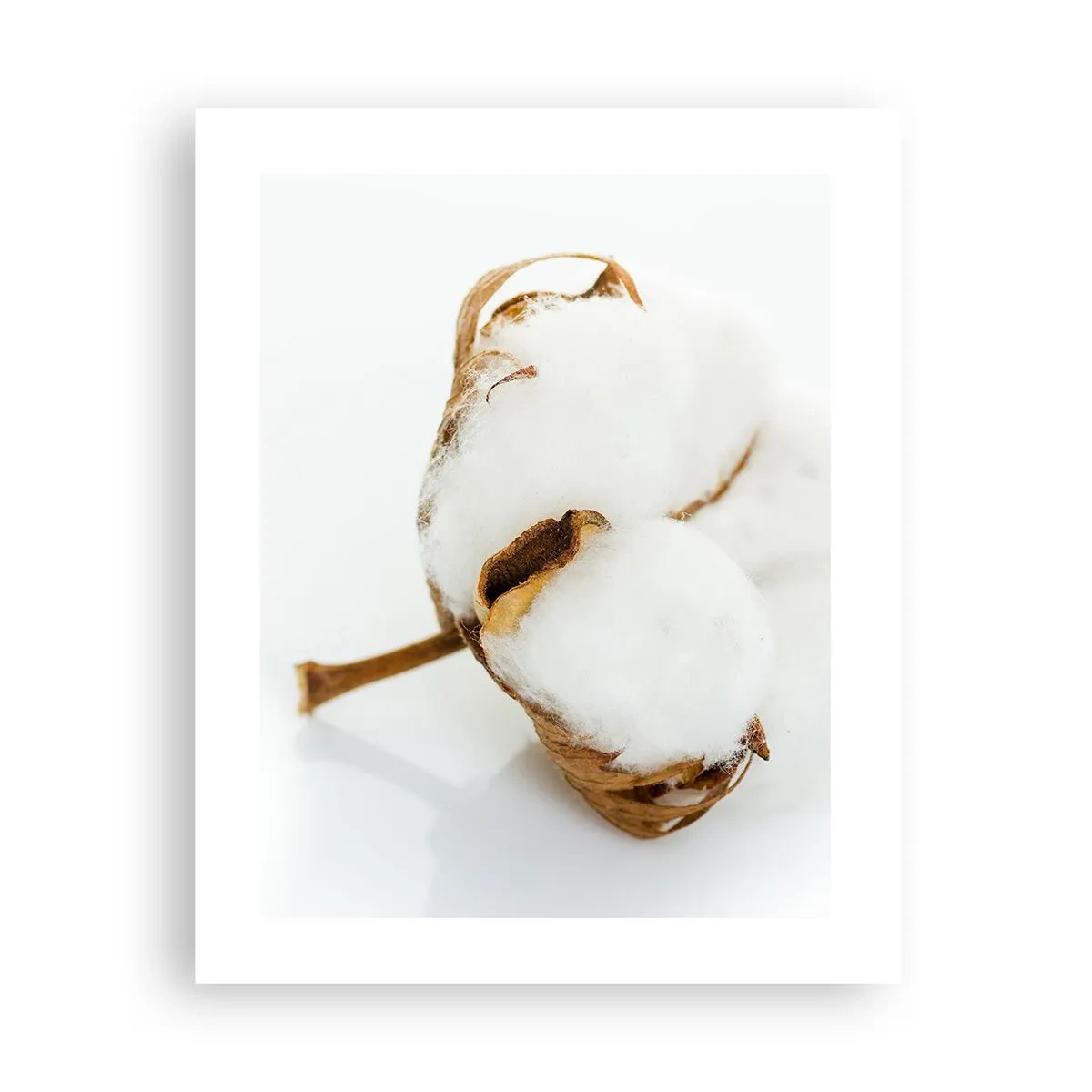 Pôster - Suave por natureza - 40x50 cm