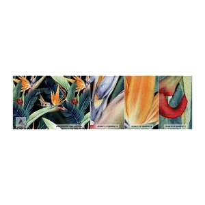 Amostra de papel de parede Premium Canvas - Flores ardentes dos trópicos - Strelitzia real, Flor, África - 100x30 cm