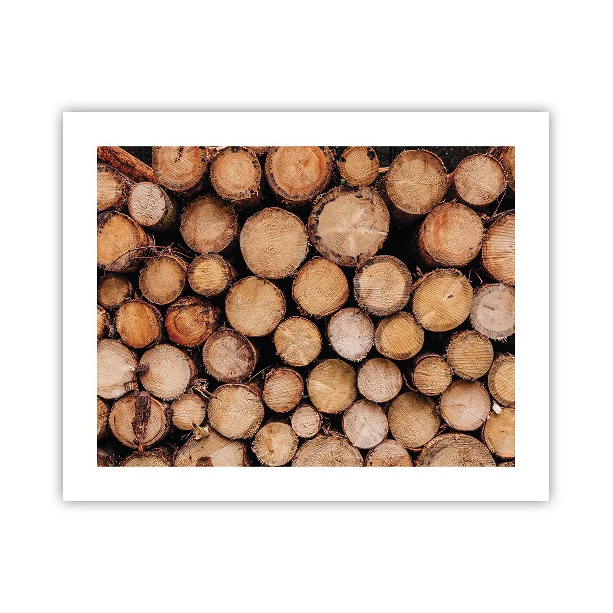 Pôster - Um novo começo - 50x40 cm