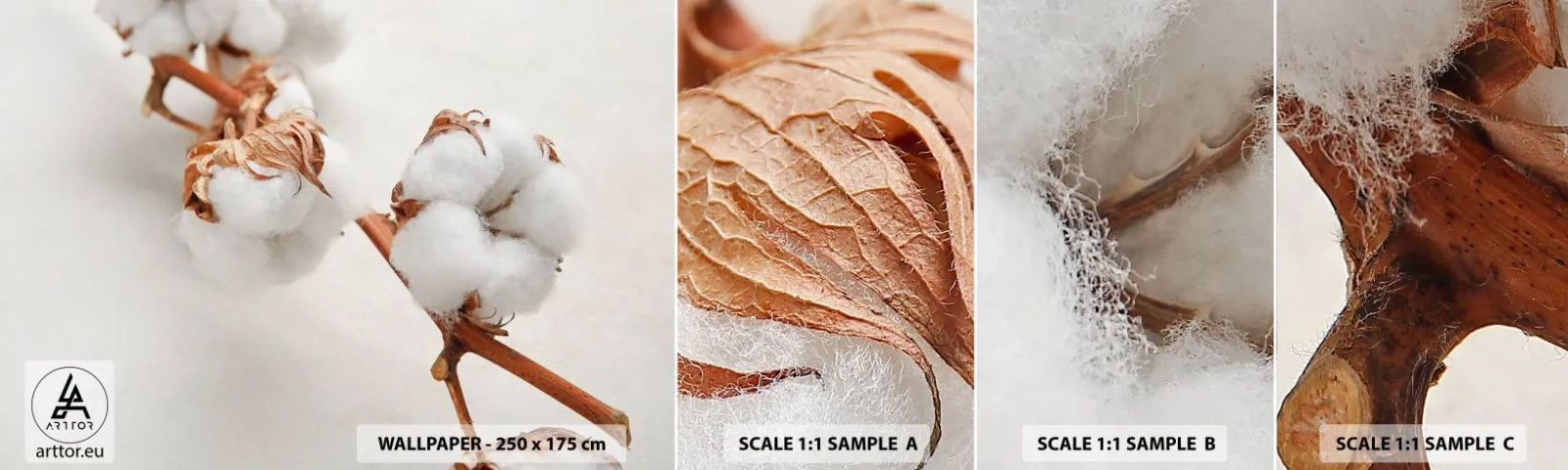 Amostra de Papel de Parede Standard Eco - Apenas acaricie - Flor de algodão, Flor, Galho de algodão - 100x30 cm