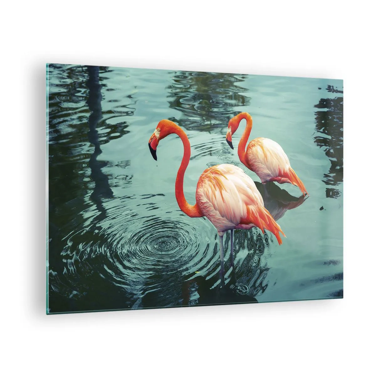 Quadro em vidro - Flamingos na água em uma composição harmoniosa - 70x50cm - Estamos na moda agora - Decoração de parede moderna para a sala de estar e quarto ARTTOR