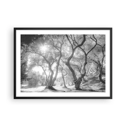 Pôster com moldura preta - No olival - 70x50 cm