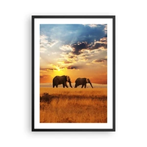 Pôster com moldura preta - Elefantes caminhando sob o brilho do pôr do sol - 50x70cm - Caminhada em família - Decoração de parede moderna para a sala de estar e quarto ARTTOR