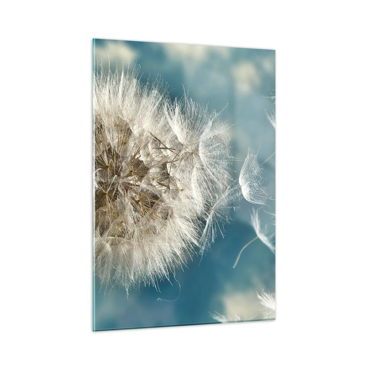 Quadro em vidro - Respiração de um anjo - 50x70 cm