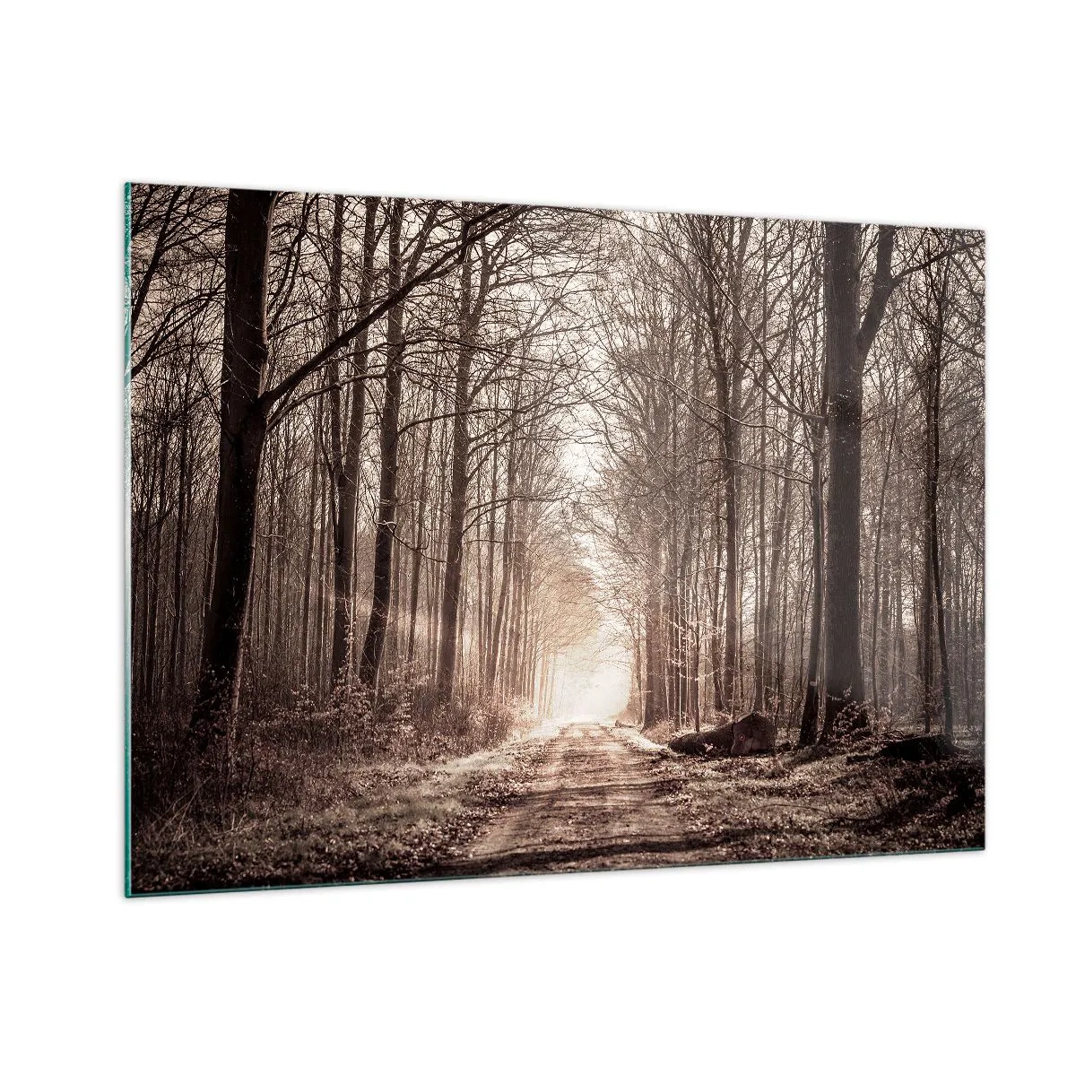 Quadro em vidro - Catedral na Floresta - 100x70 cm