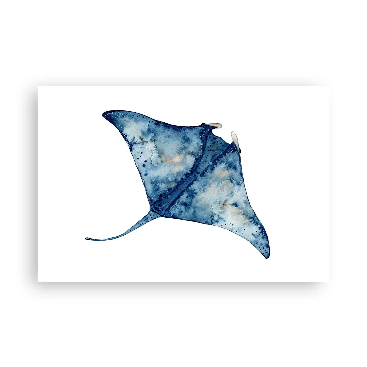 Pôster - A vida em azul - 91x61 cm