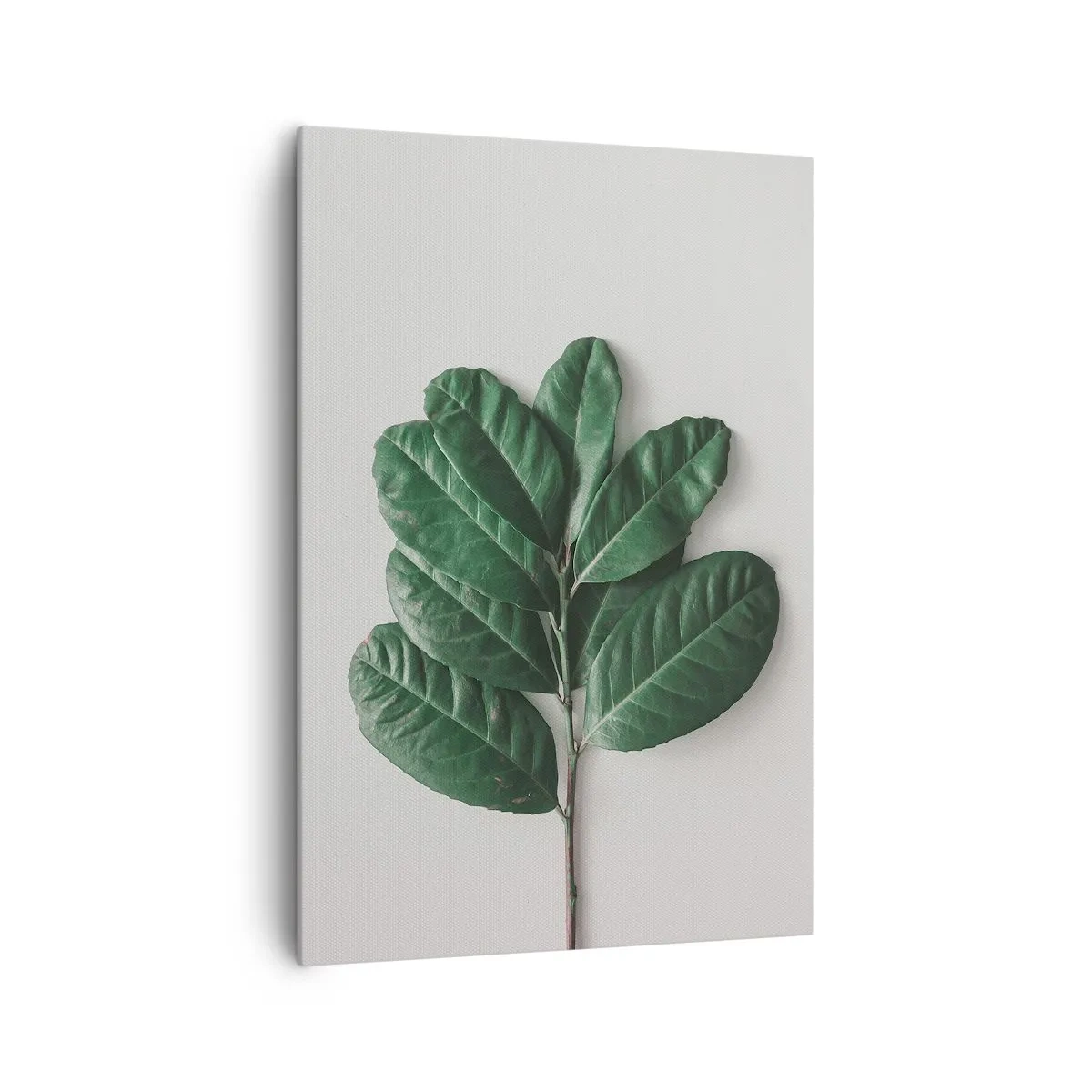 Quadro em tela - Desenho da própria natureza - 70x100 cm