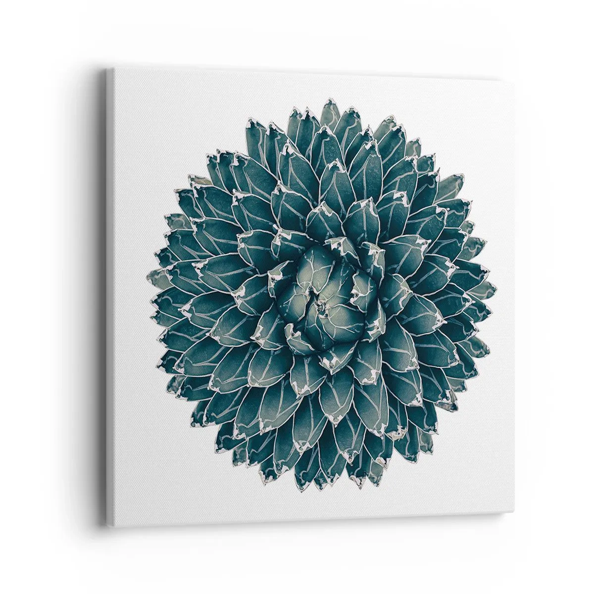 Quadro em tela - Estrela do Deserto - 40x40 cm