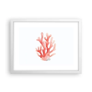 Pôster em moldura branca - Coral de cor coral - 40x30 cm