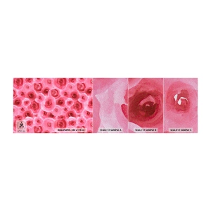 Amostra de papel de parede Premium Sand - Rosas acima e abaixo - Flores, Beleza, Romantismo - 100x30 cm