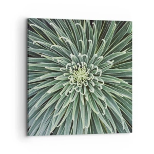 Quadro em tela - Nasce uma estrela - 70x70 cm