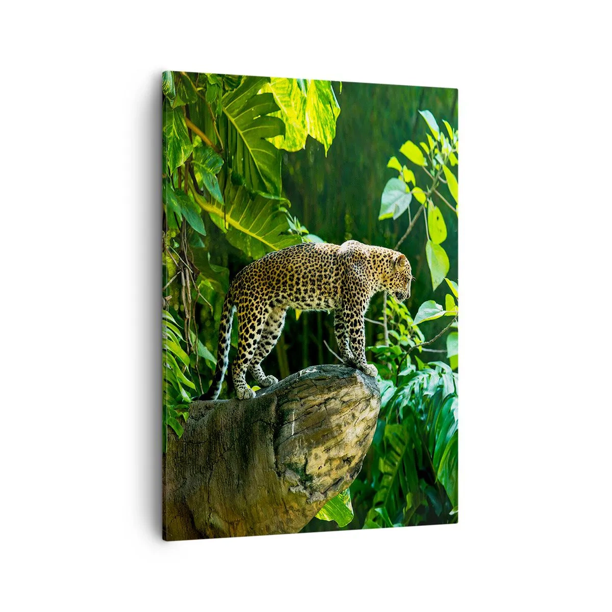 Quadro em tela - Vamos caçar? - 50x70 cm