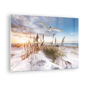 Quadro em vidro - Um pássaro voando sobre as dunas ao pôr do sol - 70x50cm - Vento do mar - Decoração de parede moderna para a sala de estar e quarto ARTTOR