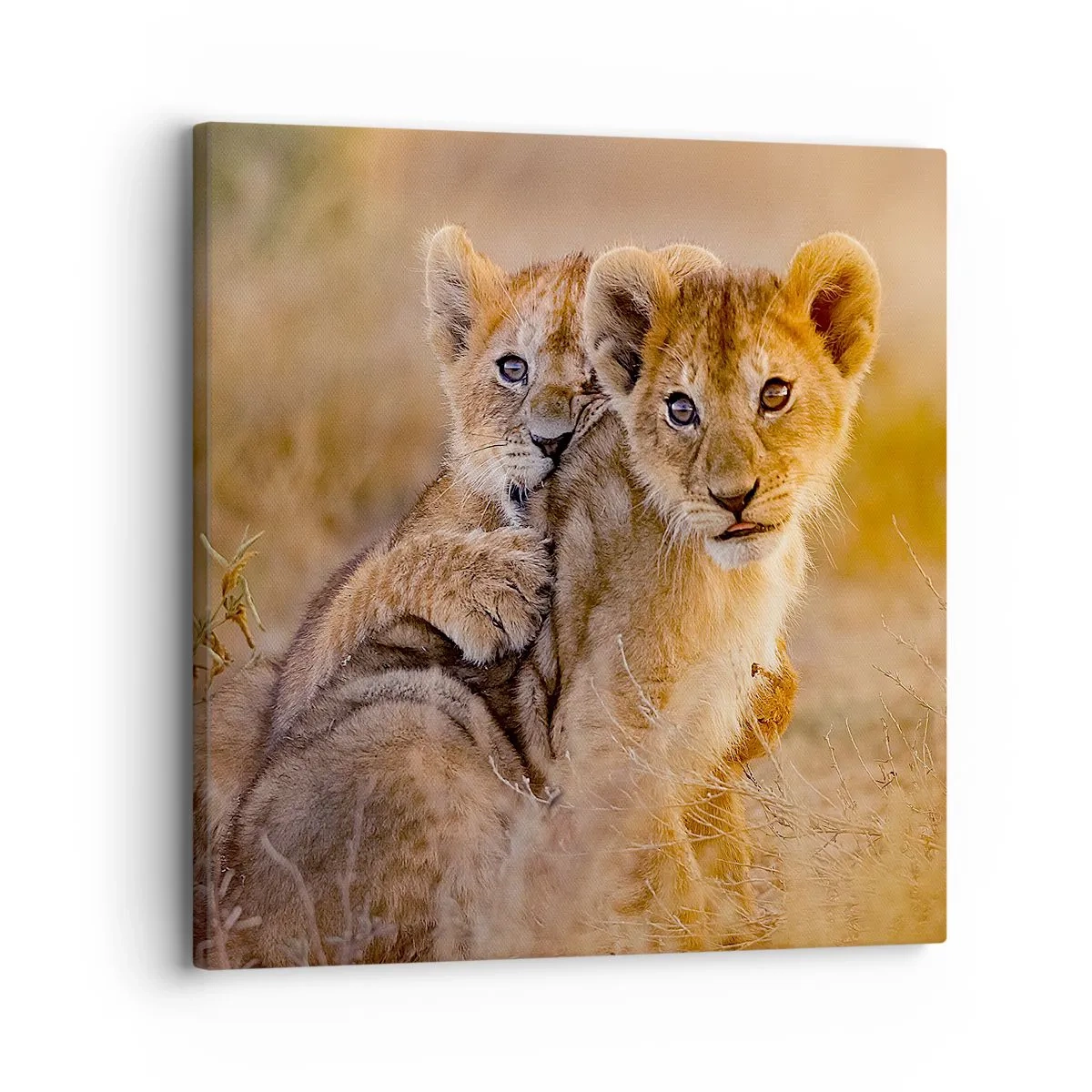 Quadro em tela - Não perturbe! Estamos a divertir-nos - 30x30 cm