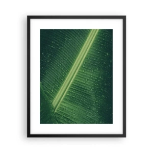 Pôster com moldura preta - A estrutura da vegetação - 40x50 cm