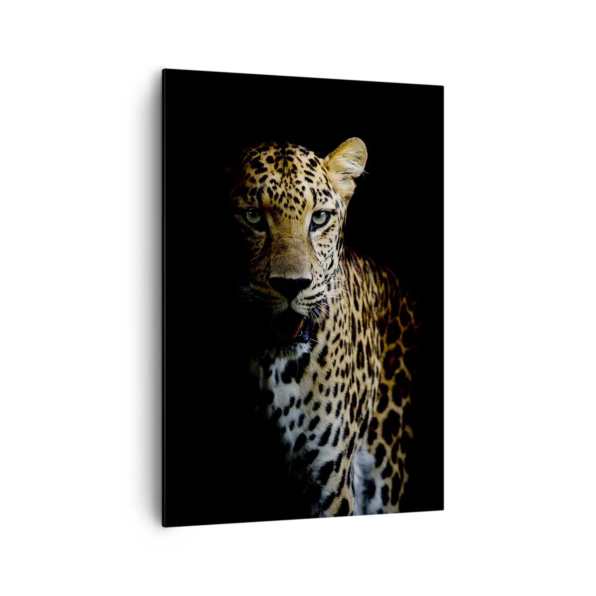 Quadro em tela - Beleza escura - 70x100 cm