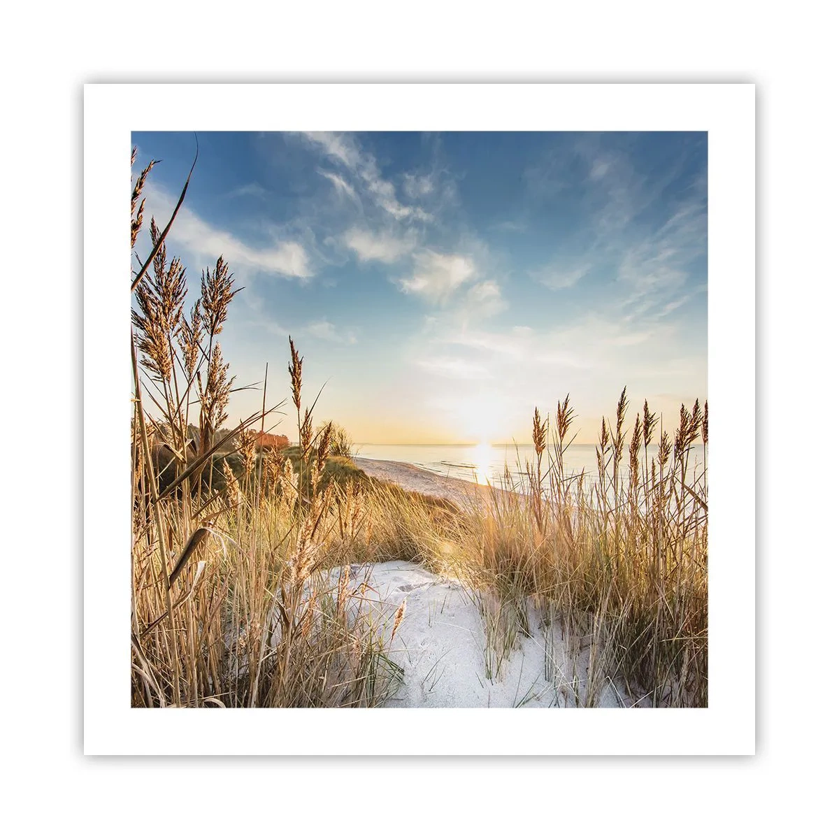 Pôster - Praia do Norte - 50x50 cm