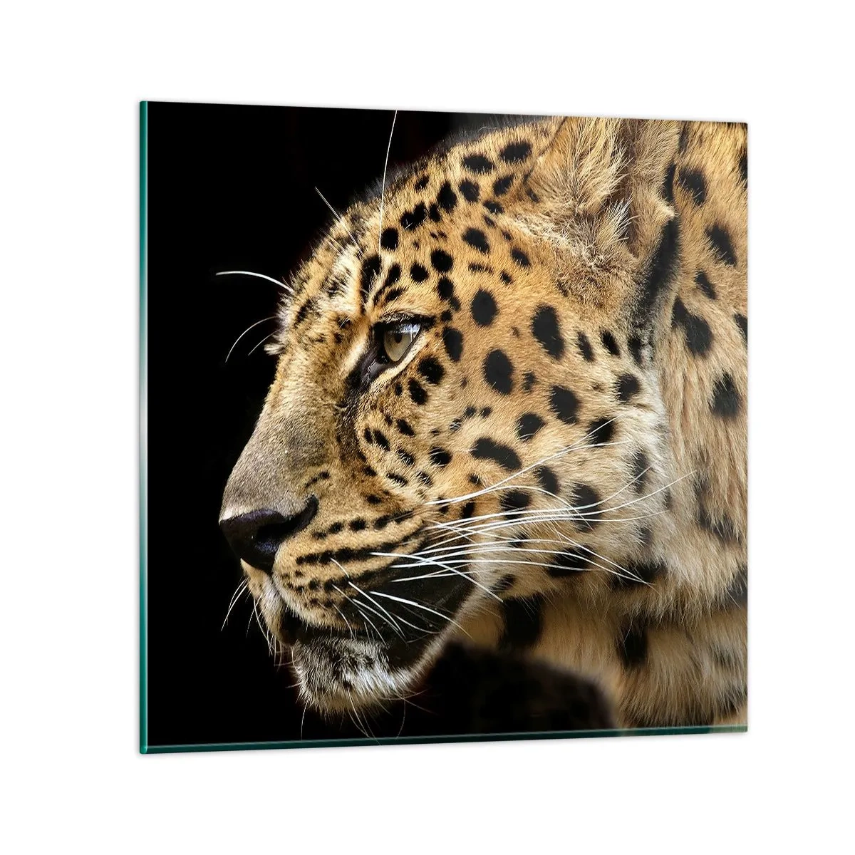 Quadro em vidro - Calmo, focado, pronto - 60x60 cm