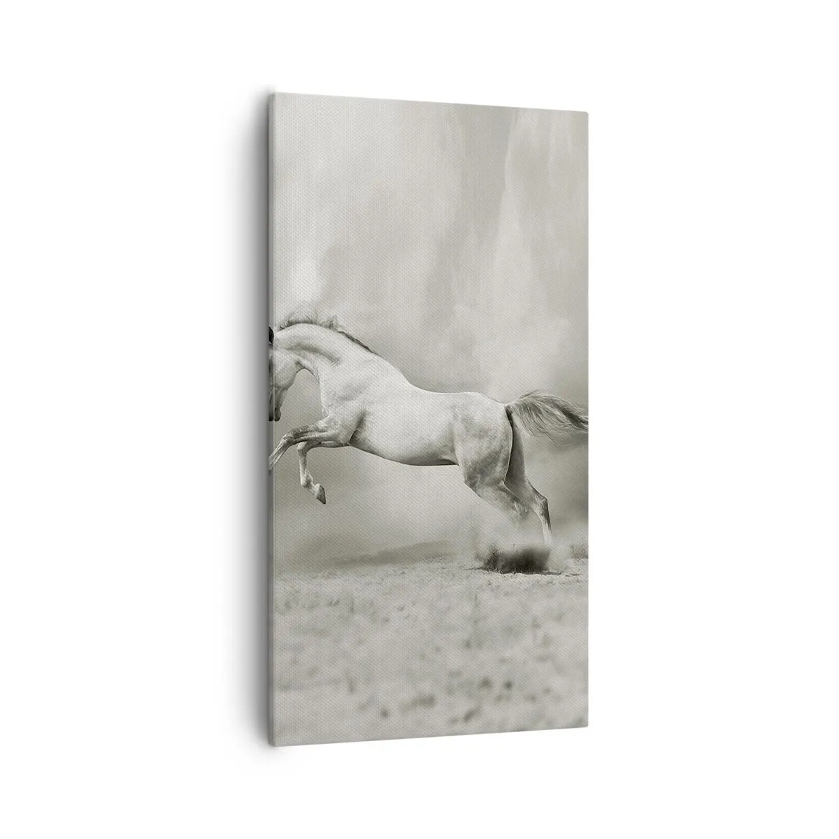 Quadro em tela - Entre o acordar e sonhar - 55x100 cm