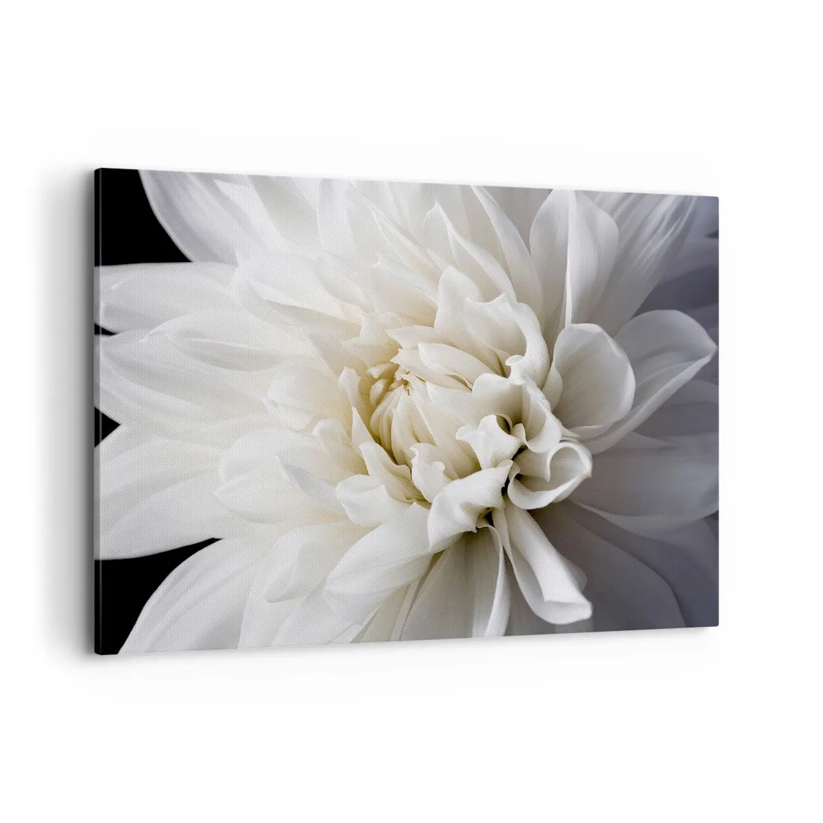 Quadro em tela - Manhã da noiva - 100x70 cm