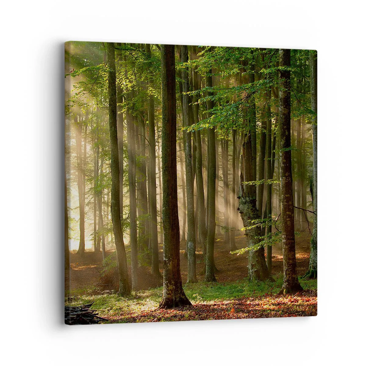 Quadro em tela - Radiante em uma manhã de primavera - 30x30 cm