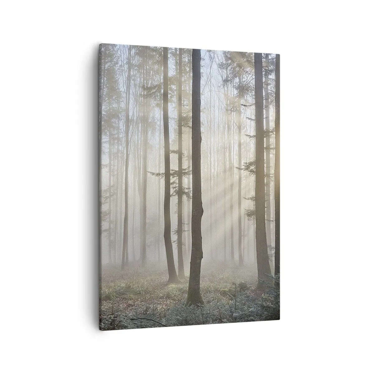 Quadro em tela - O nevoeiro também acordou - 50x70 cm