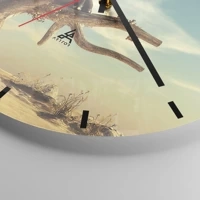 Mostrador com traços