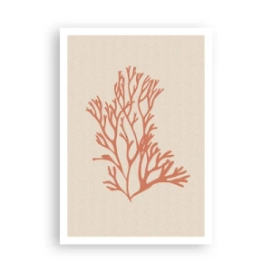 Pôster - Filigrana coral - 70x100 cm