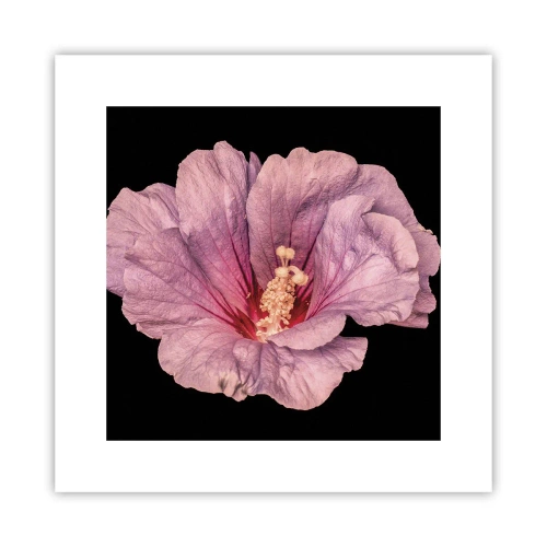 Pôster - Direto para o coração - 30x30 cm