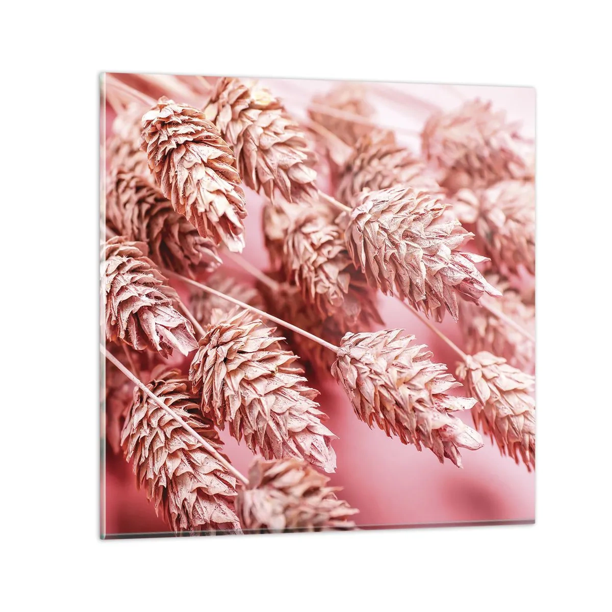 Quadro em vidro - Cascata floral em rosa - 40x40 cm