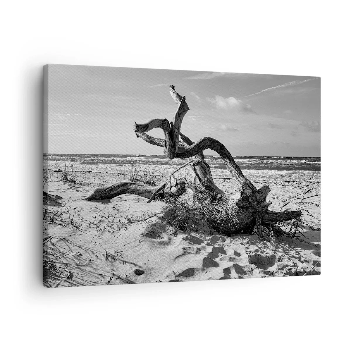 Quadro em tela - Paisagem em preto e branco com uma árvore morta na praia - 70x50cm - Escultura do mar - Decoração de parede moderna para a sala de estar e quarto ARTTOR