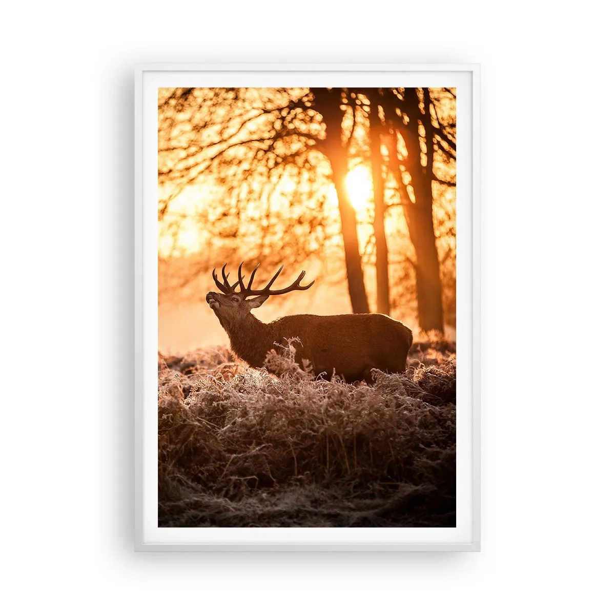 Pôster em moldura branca - O sonho do caçador - 70x100 cm