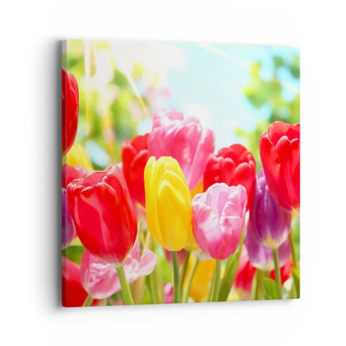 Quadro em tela - Somos nós, as cores de maio! - 40x40 cm