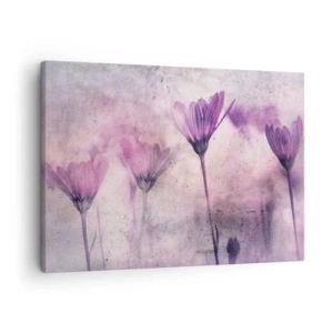 Quadro em tela - Flores delicadas em tons de roxo sobre fundo claro - 70x50cm - Sonho de flores - Decoração de parede moderna para a sala de estar e quarto ARTTOR