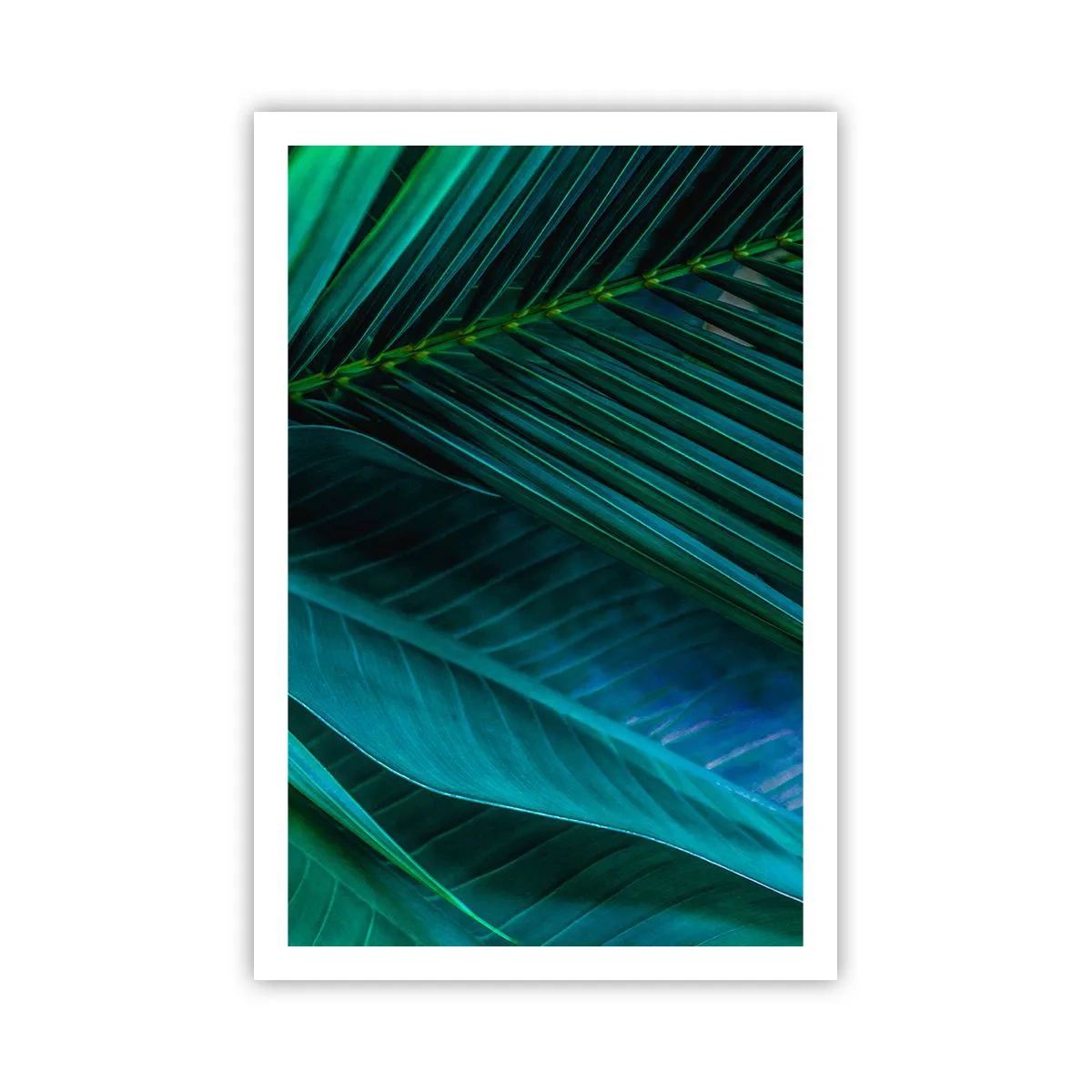 Pôster - Anatomia da vegetação - 61x91 cm