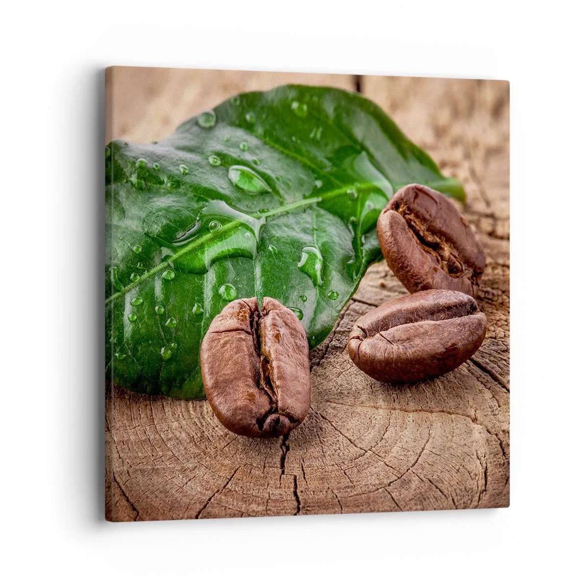 Quadro em tela - Preto e verdadeiro - 40x40 cm