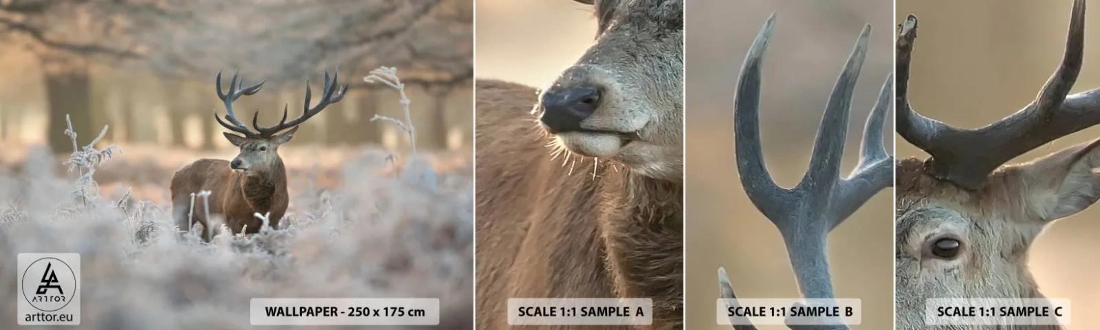 Amostra de papel de parede autocolante Deluxe Sticker - Uma manhã fresca - Paisagem, Cervo, Animais - 100x30 cm