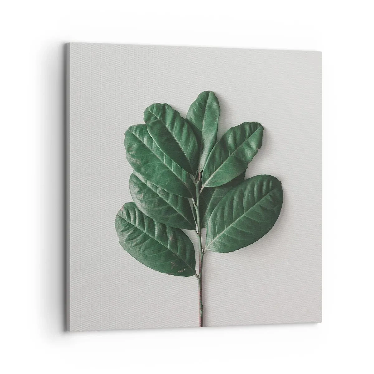 Quadro em tela - Desenho da própria natureza - 60x60 cm