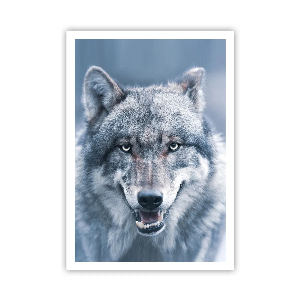 Pôster - Vai aceitar o desafio? - 70x100 cm