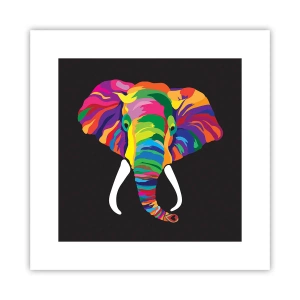 Pôster - O elefante que adorava banhar-se no arco-íris - 30x30 cm