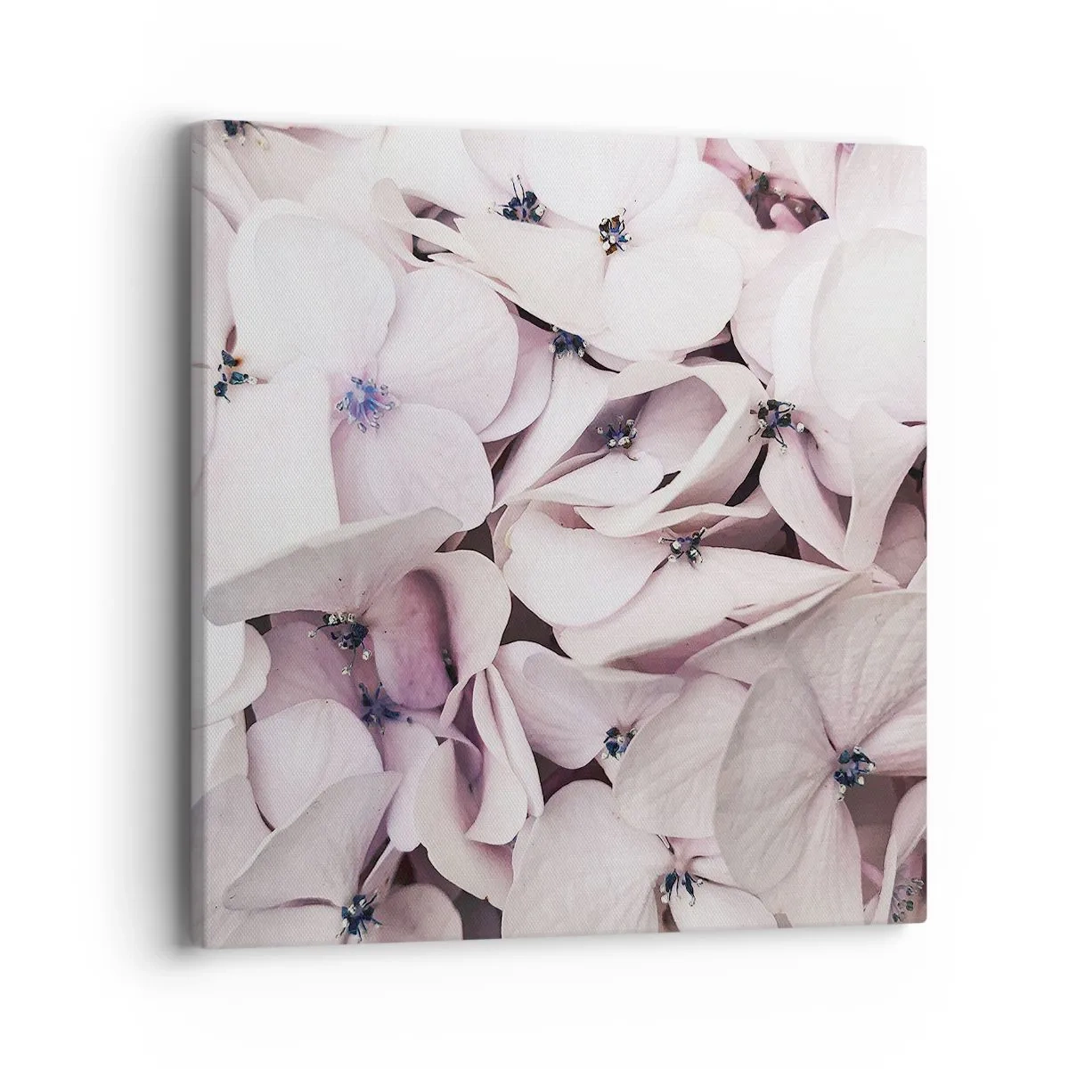 Quadro em tela - Em uma inundação de flores - 40x40 cm