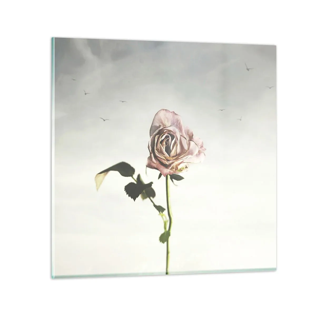 Quadro em vidro - Boas-vindas da primavera  - 30x30 cm